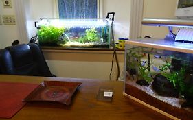リバティーヒル ホテル