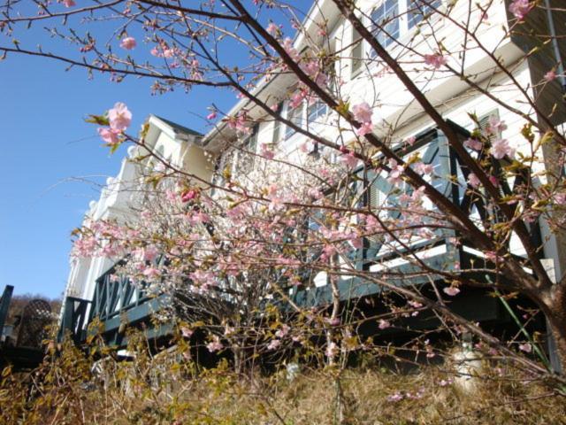リバティーヒル ホテル 伊東市 エクステリア 写真
